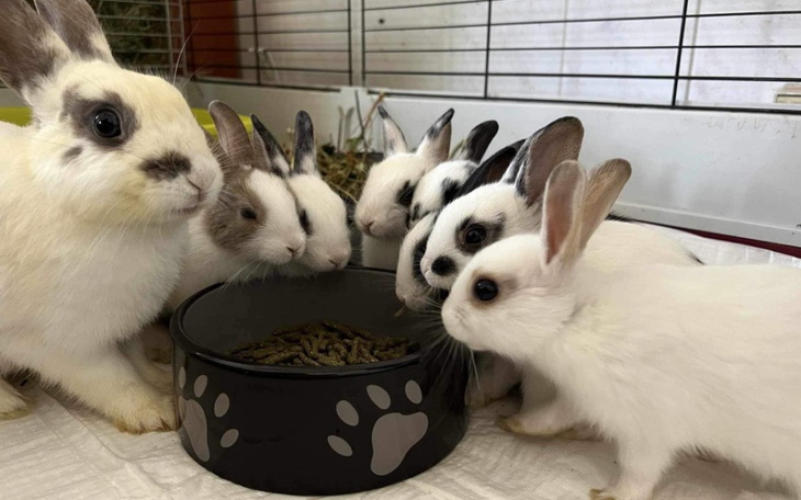 Zbiórka Szczepienie maluszków - zdjęcie główne