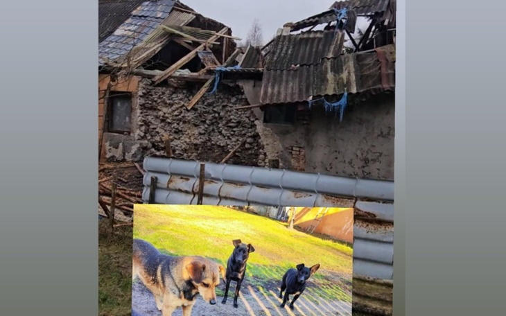 Zbiórka Dramat ludzi i zwierząt - zdjęcie główne