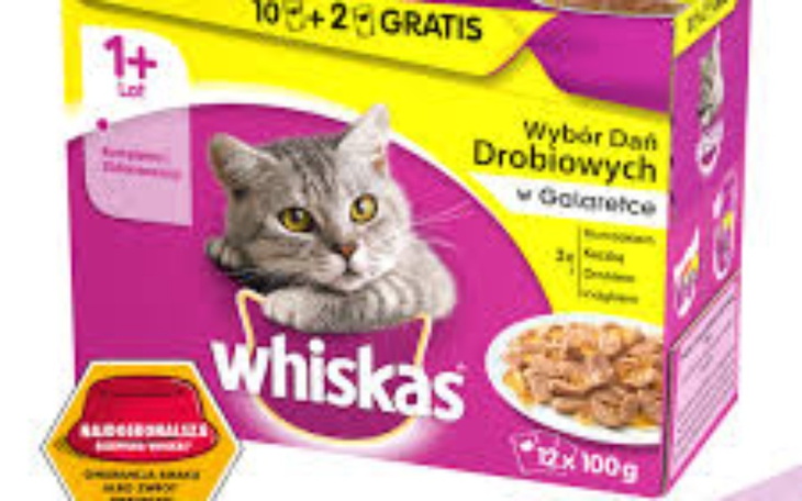 Zbiórka Na karmę dla kota. - zdjęcie główne