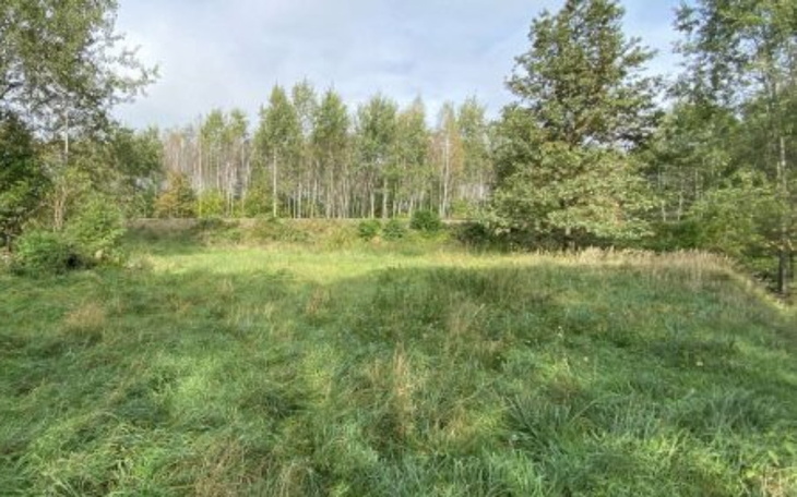 Zbiórka Działka na start - zdjęcie główne