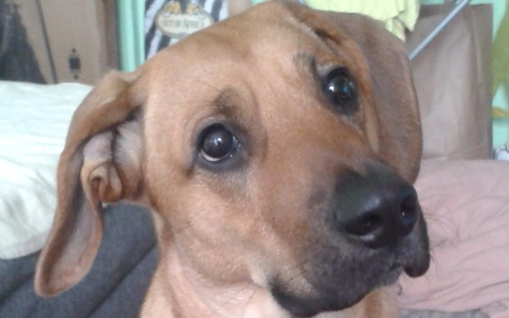 Zbiórka Na wyprawkę - zdjęcie główne