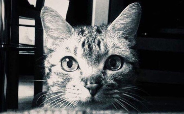 Zbiórka Śmierć jak śmieć - zdjęcie główne