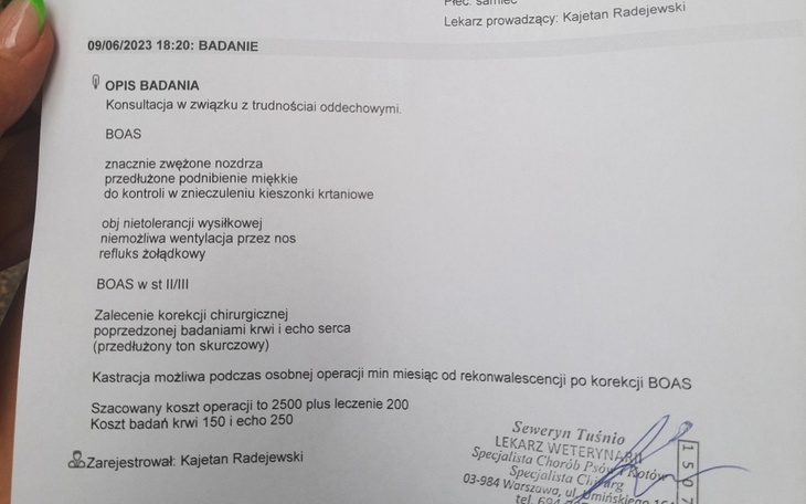 Zbiórka Operacja Adopciaka Luckiego - zdjęcie główne