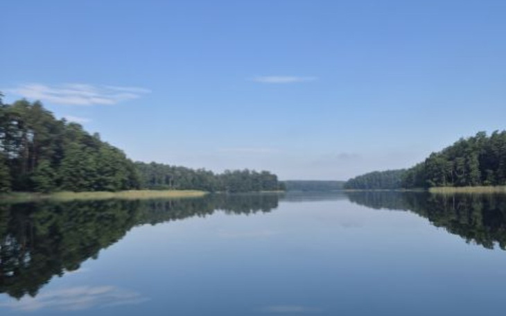 Widok jeziora z odbiciem drzew i nieba, spokój natury
