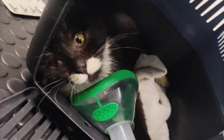 Zbiórka Szansa dla Zary - zdjęcie główne