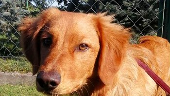 Zbiórka By nie czuć głodu i bolu. - miniaturka zdjęcia