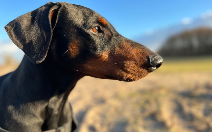 Zbiórka aRes dla Ukrainy - zdjęcie główne