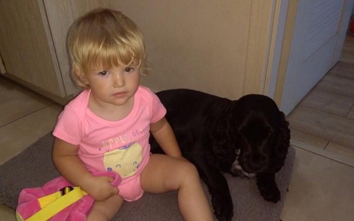 Zbiórka Operacja łapki Regusia - zdjęcie główne