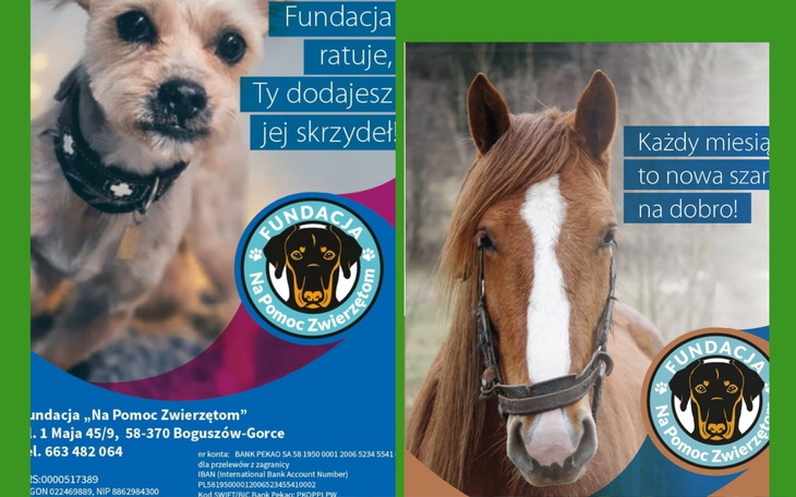 Plakat fundacji ratującej zwierzęta, z psem i koniem.