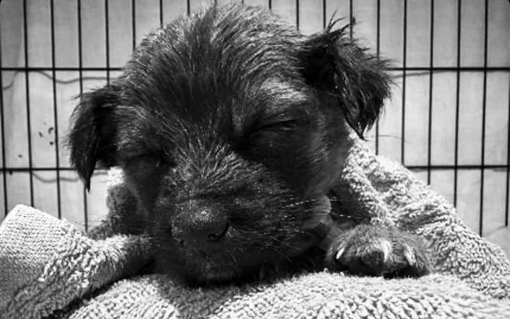 Zbiórka By móc ratować dalej . - zdjęcie główne