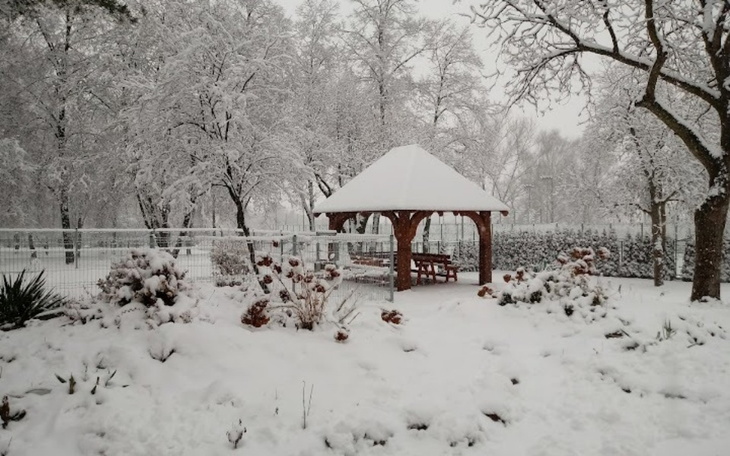 Zbiórka Coś do nauki i coś dla sportu - zdjęcie główne