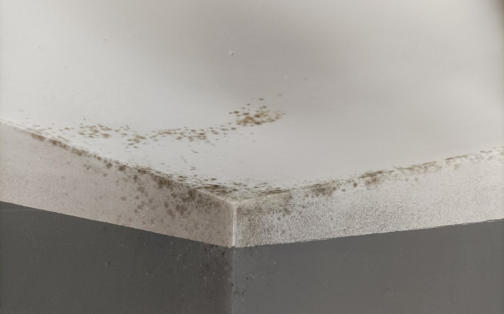 Zbiórka Hgff - zdjęcie główne