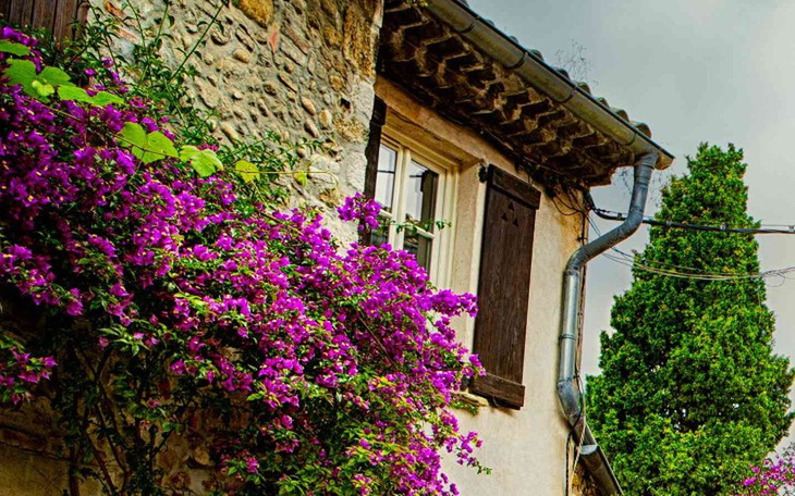 Zbiórka Na własne mieszlanie - zdjęcie główne