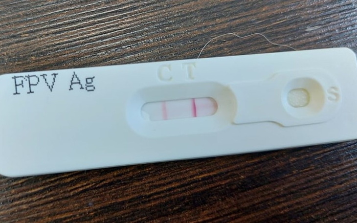 Zbiórka Nierówna walka - zdjęcie główne