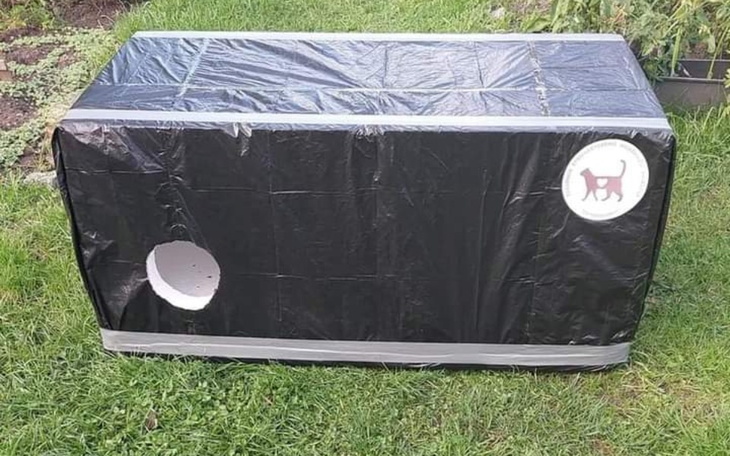 Zbiórka Styropian na domki dla kotków - zdjęcie główne