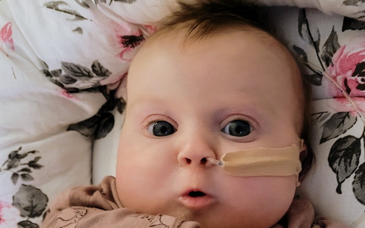 Zbiórka Zawody Charytatywne - DELFIN - zdjęcie główne