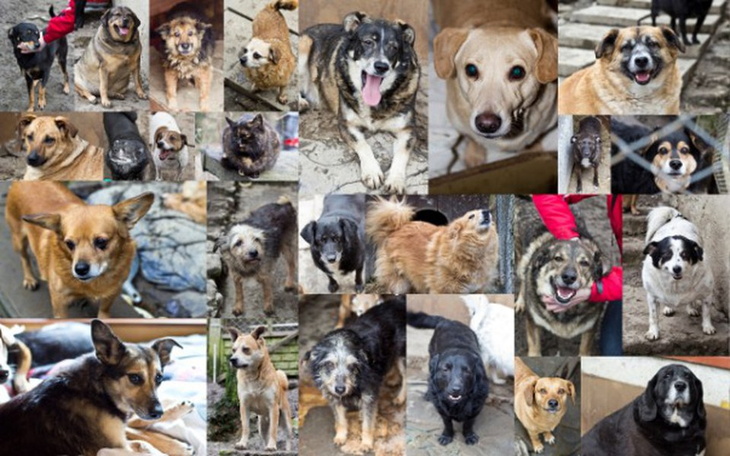 Zbiórka Jesienny prąd dla Harbutowic - zdjęcie główne