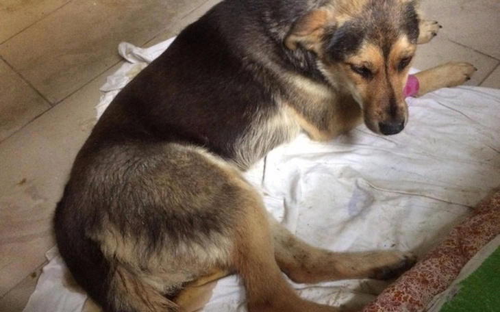 Zbiórka Malina odeszła,został ból i dług - zdjęcie główne