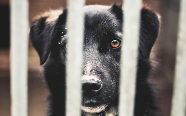 Zbiórka Pomoc Bezdomniakom - zdjęcie główne