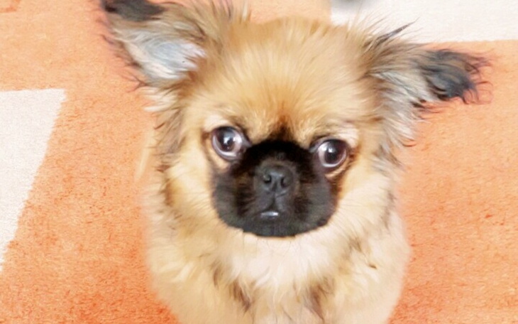 Zbiórka LEOŚ tomograf komputerowy - zdjęcie główne