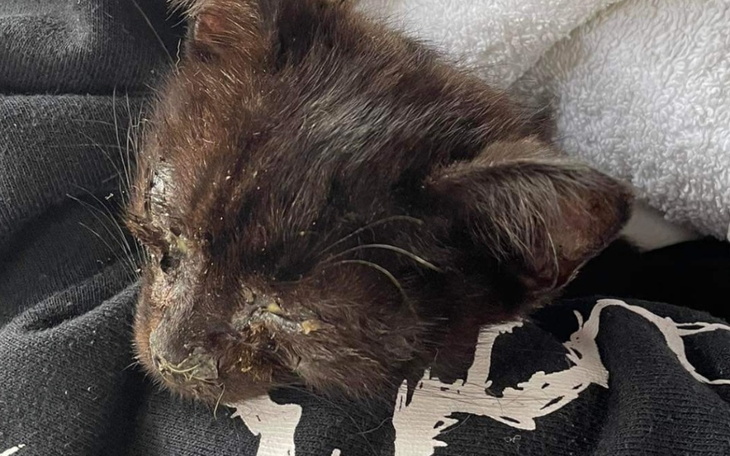 Zbiórka Na leczenie chorego malucha - zdjęcie główne