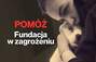 Zbiórka Pomóż - Fundacja w zagrożeniu - miniaturka zdjęcia