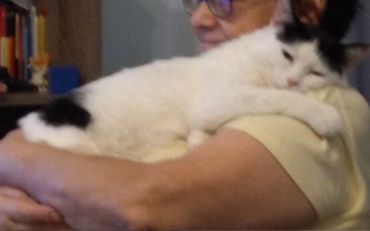 Zbiórka Wyposażenie domu dla Renaty - zdjęcie główne