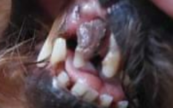 Zbiórka Operacja i dalsze leczenie - zdjęcie główne