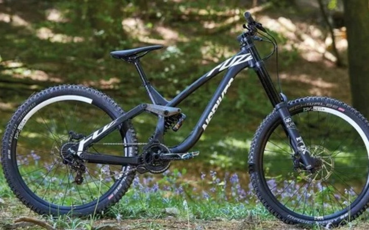 Nowoczesny rower górski w lesie.