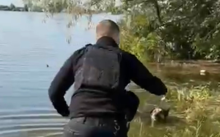 Zbiórka Na Pomoc dla Zwierząt/Chersoń - zdjęcie główne