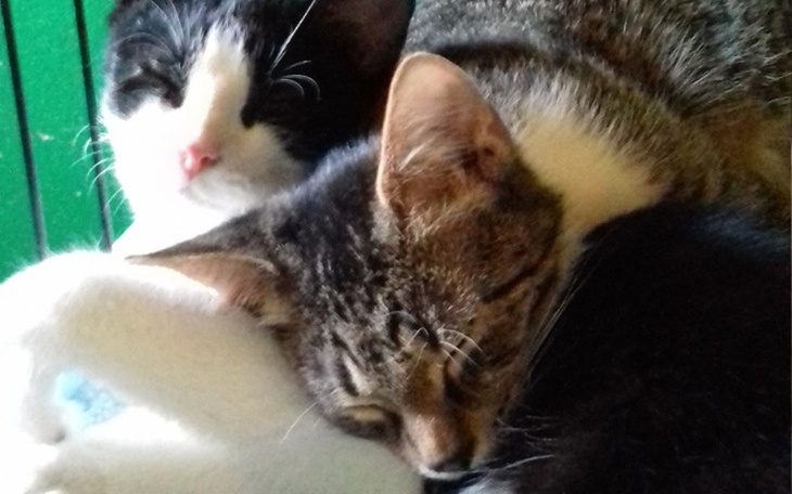 Zbiórka Nasza skarbonka jest pusta - zdjęcie główne