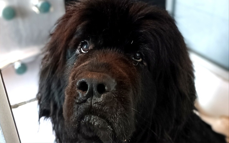 Zbiórka Bonnie chce żyć - zdjęcie główne