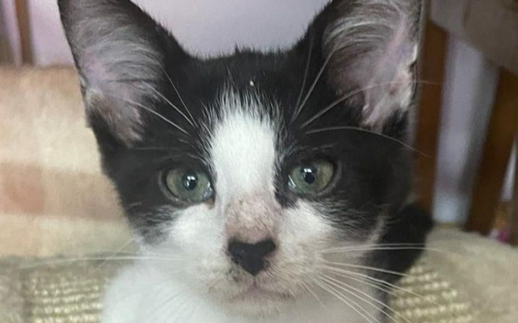 Zbiórka Mały Kacperek walczy o życie - zdjęcie główne