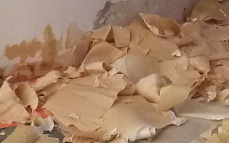 Zbiórka Na przezycie - zdjęcie główne