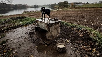 Zbiórka Pomoc WIOZ - miniaturka zdjęcia