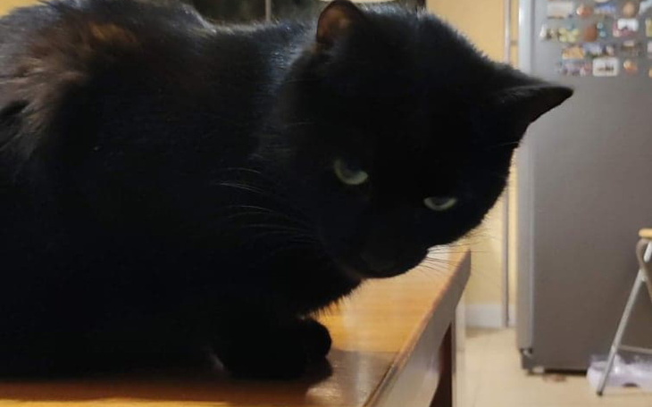 Zbiórka Dla Nanusia - zdjęcie główne