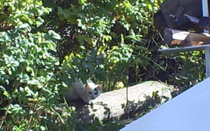 Zbiórka na spłate zabowiązan - zdjęcie główne