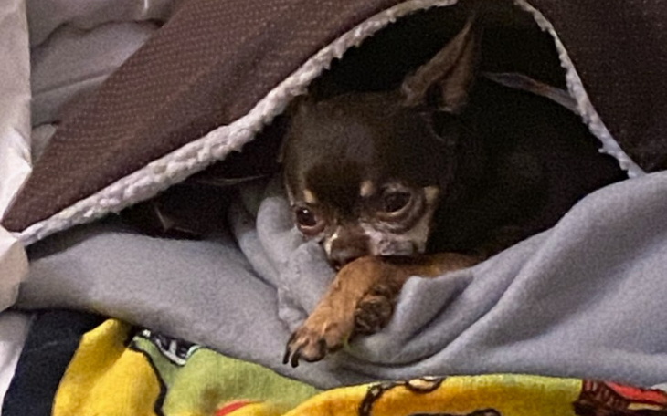 Zbiórka Pomóżmy Mikusiowi stanąć na nogi - zdjęcie główne