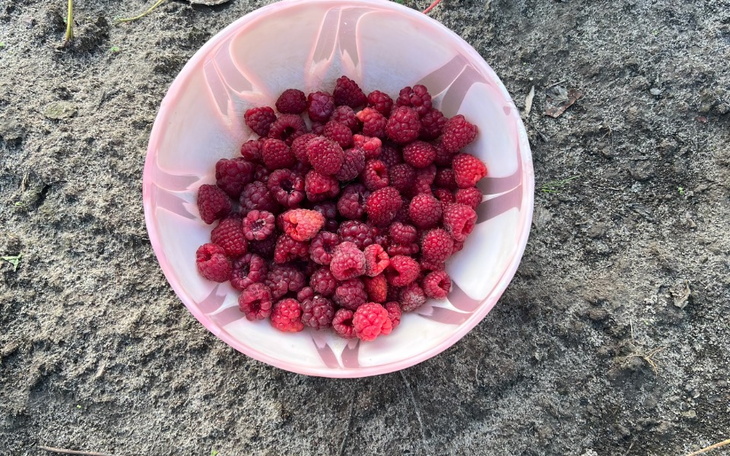 Zbiórka Kolacja dla moich rodziców - zdjęcie główne