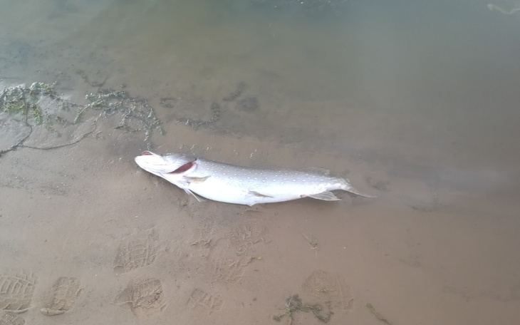 Zbiórka Katastrofa ekologiczna - zdjęcie główne