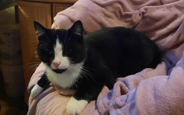 Zbiórka Poprawa jakości życia dla rodzin - zdjęcie główne