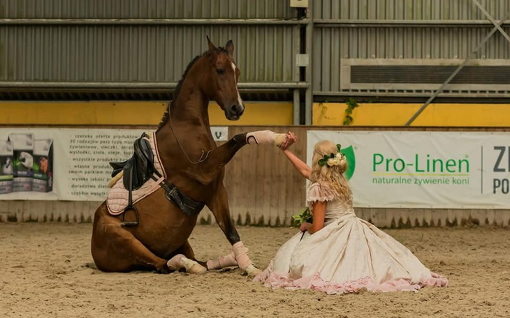 Zbiórka Pomoc dla Ani Zenl - zdjęcie główne