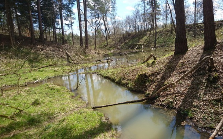 Zbiórka Moje Marzenie- Fotografia - zdjęcie główne