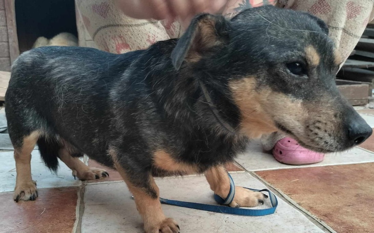 Zbiórka Hotel dla Małego - zdjęcie główne