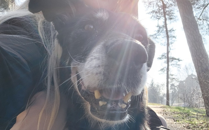 Zbiórka Cena ostatniego spojrzenia - zdjęcie główne