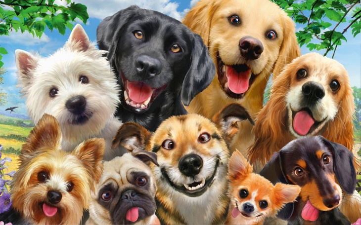 Radosne psy w kolorowej scenerii, pełne energii i uśmiechu.