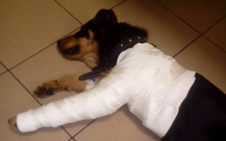 Zbiórka BLUES gdy bol zabija - zdjęcie główne