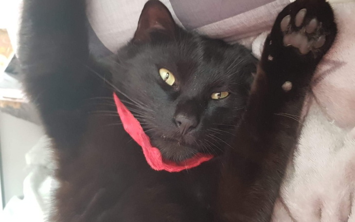 Zbiórka Henio potrzebuje pomocy - zdjęcie główne