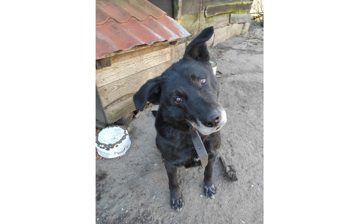 Zbiórka Misiek zbiera na kojec - zdjęcie główne