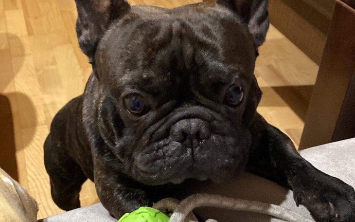 Zbiórka Pomóż mi wstać, prosi Totuś - zdjęcie główne